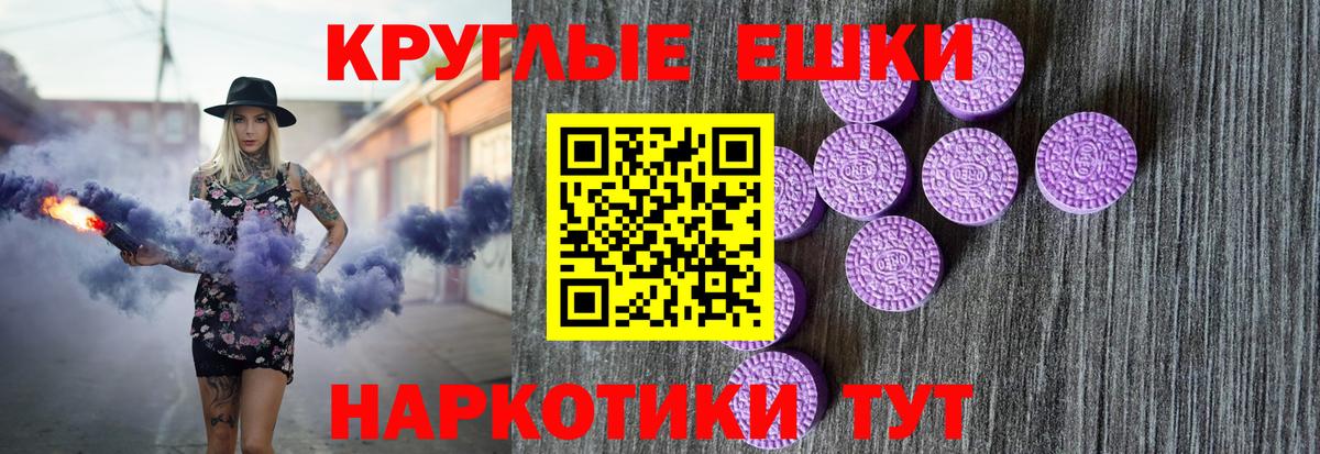 Ecstasy бентли Аша