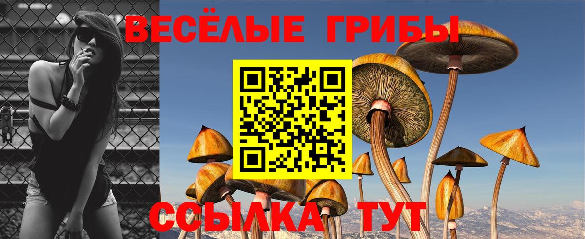 Галлюциногенные грибы Cubensis Аша